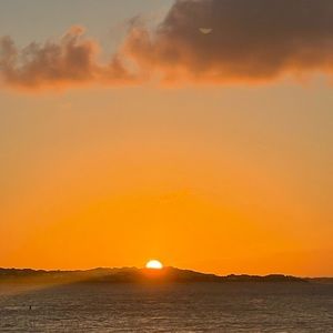 Meet your Posher, Avery